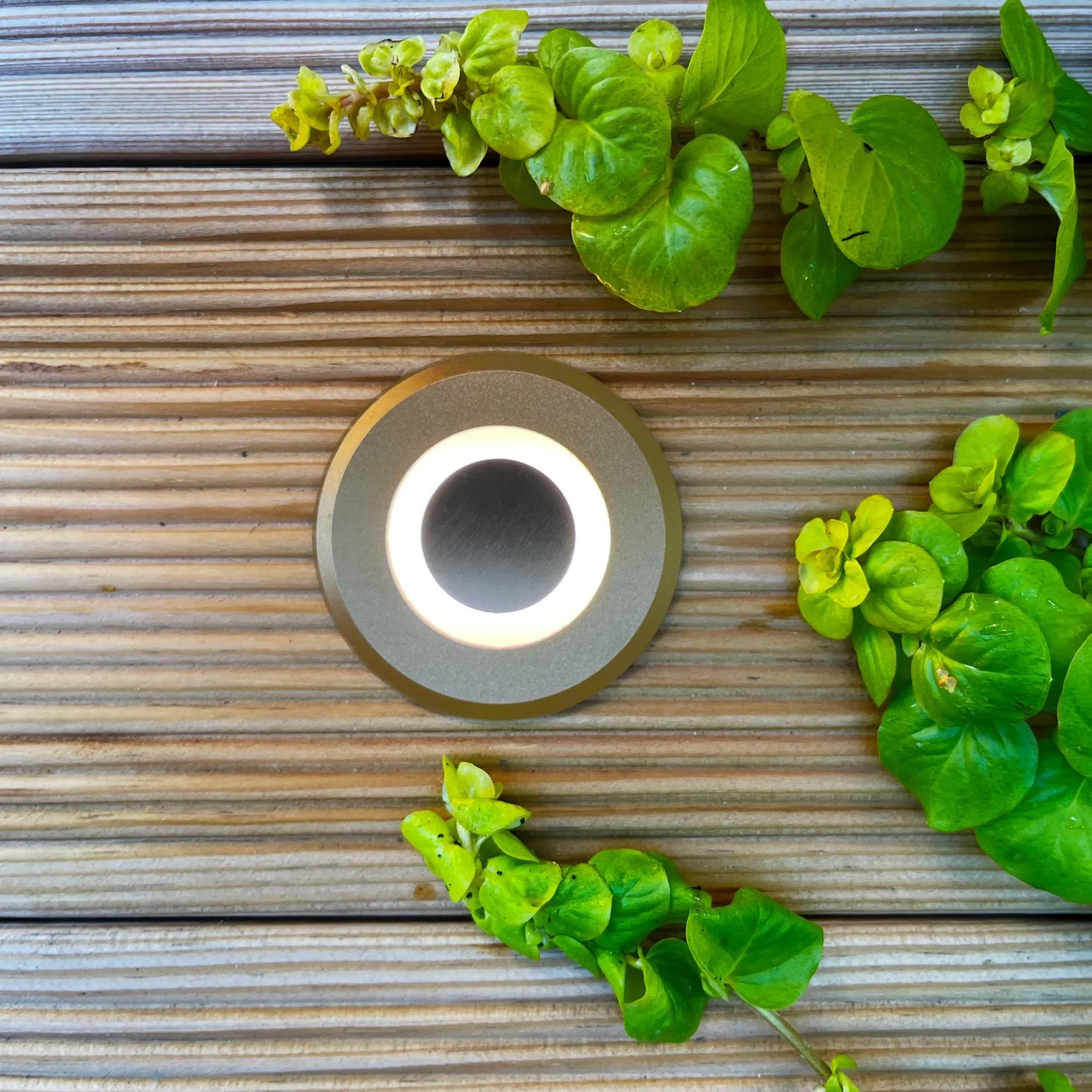 Decklight