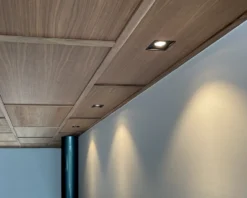 Downlight