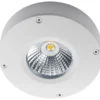 Downlight