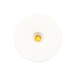 Downlight