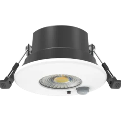 Downlight