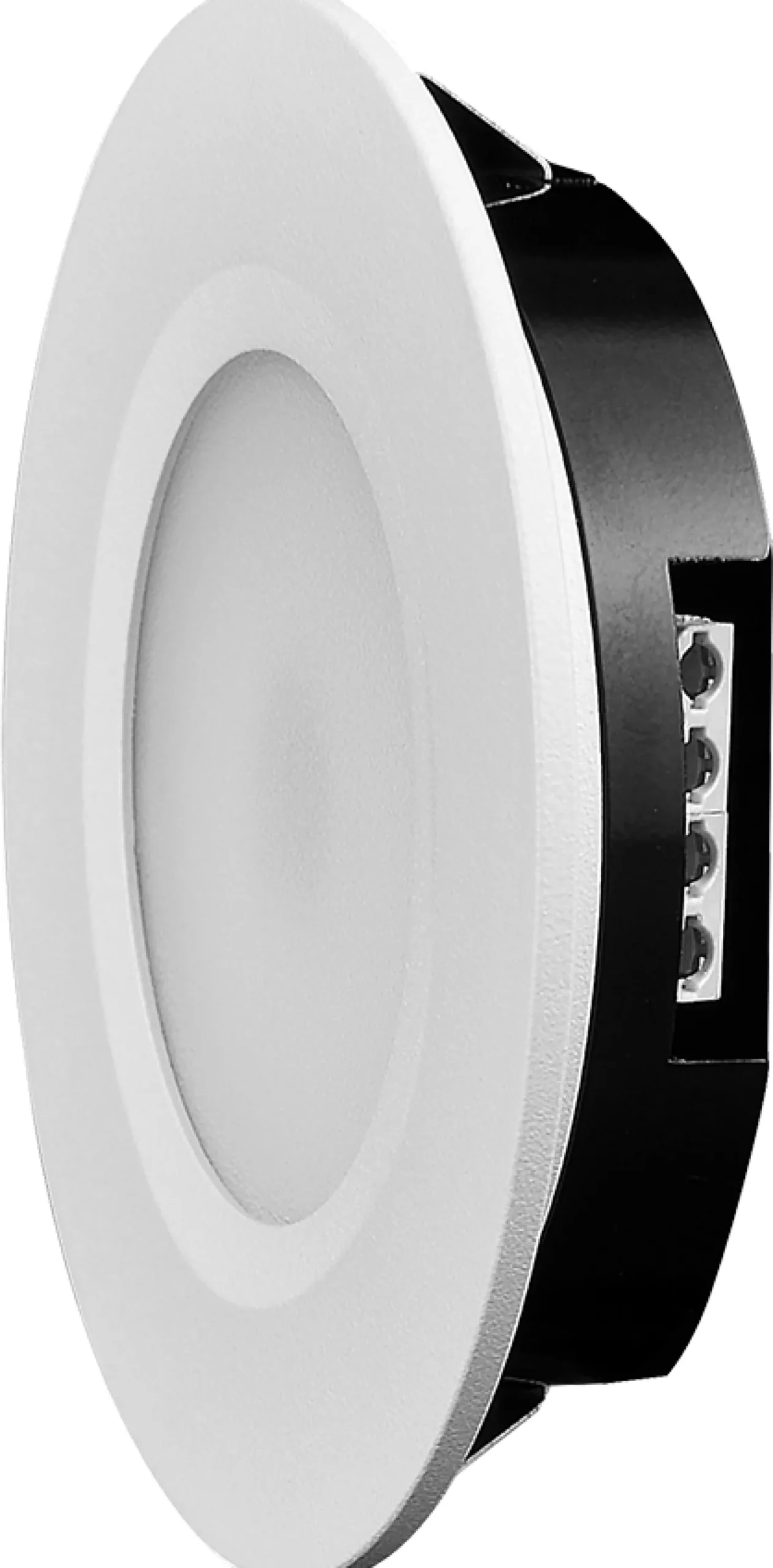 Downlight