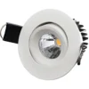 Downlight