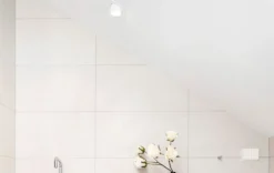 Downlight