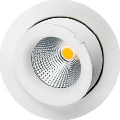 Downlight