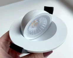 Downlight