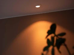 Downlight