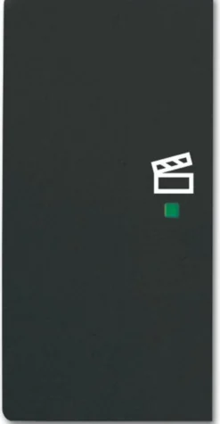 Enkelvippa