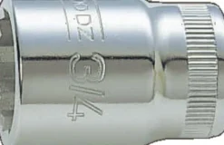 Hylsa