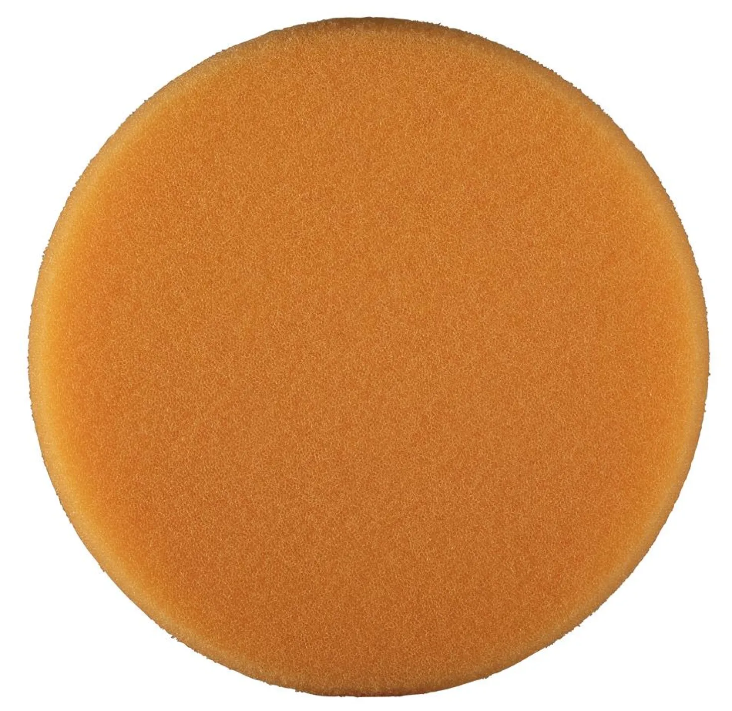 Polersvamp